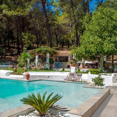 Cortijo De Ramon Konuk evi Cortijos Nuevos Dış mekan fotoğraf
