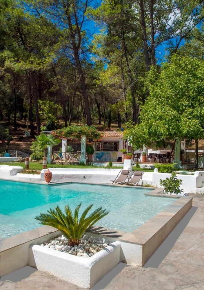 Cortijo De Ramon Konuk evi Cortijos Nuevos Dış mekan fotoğraf